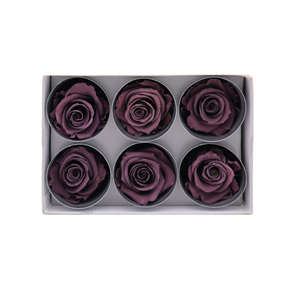 Preserved Roses wholesale Dark Purple 6 Roses That Last a Year