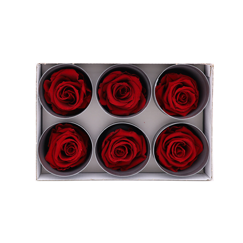 Preserved Roses wholesale Dark Red 6 Roses That Last a Year