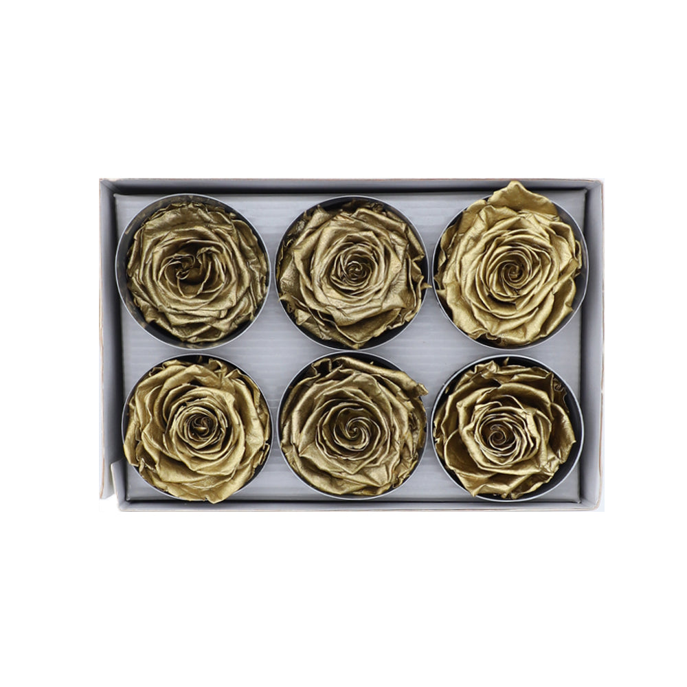 Preserved Roses wholesale Gold 6 Roses That Last a Year