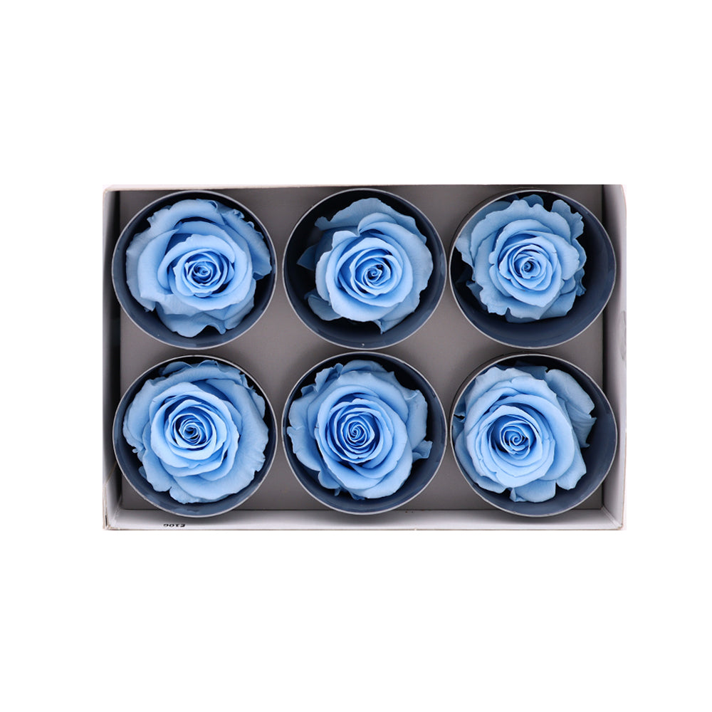 Preserved Roses wholesale Light Blue 6 Roses That Last a Year