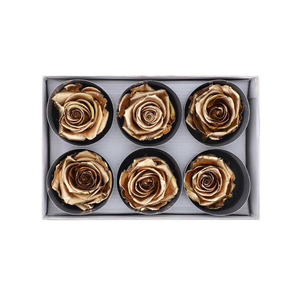 Preserved Roses wholesale Rose Gold 6 Roses That Last a Year