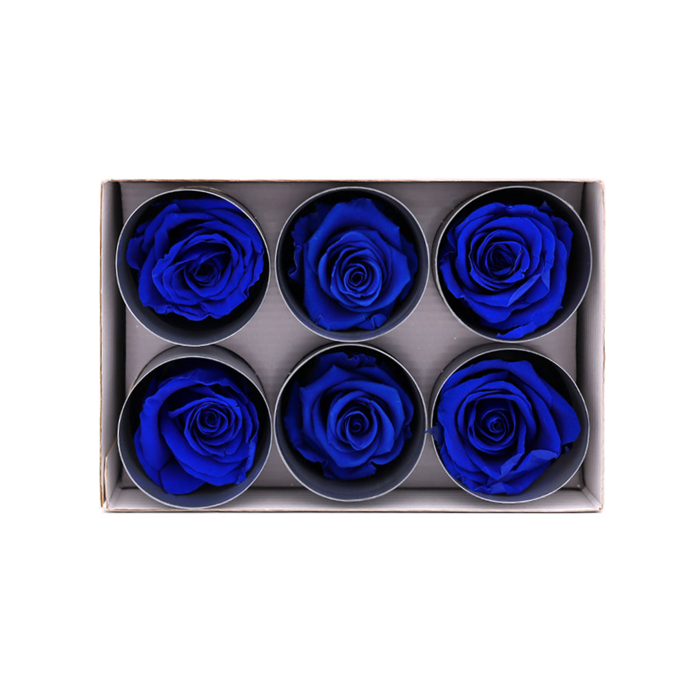 Preserved Roses wholesale Royal Blue 6 Roses That Last a Year