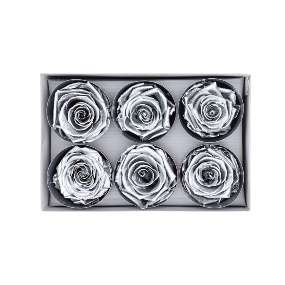 Preserved Roses wholesale Silver 6 Roses That Last a Year