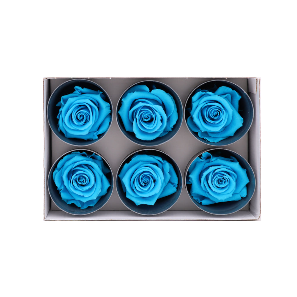 Preserved Roses wholesale Turquoise 6 Roses That Last a Year