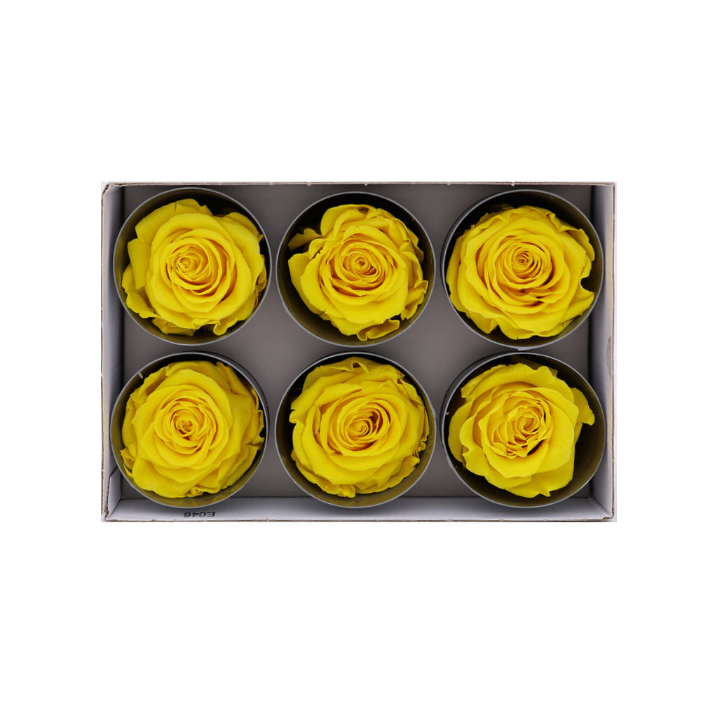Preserved Roses wholesale Warm Yellow 6 Roses That Last a Year