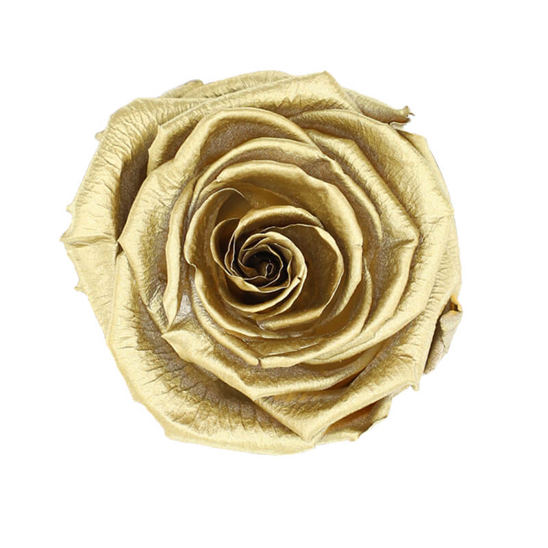 Gold Preserved Roses - Bellissimo Wholesale Preserved Roses