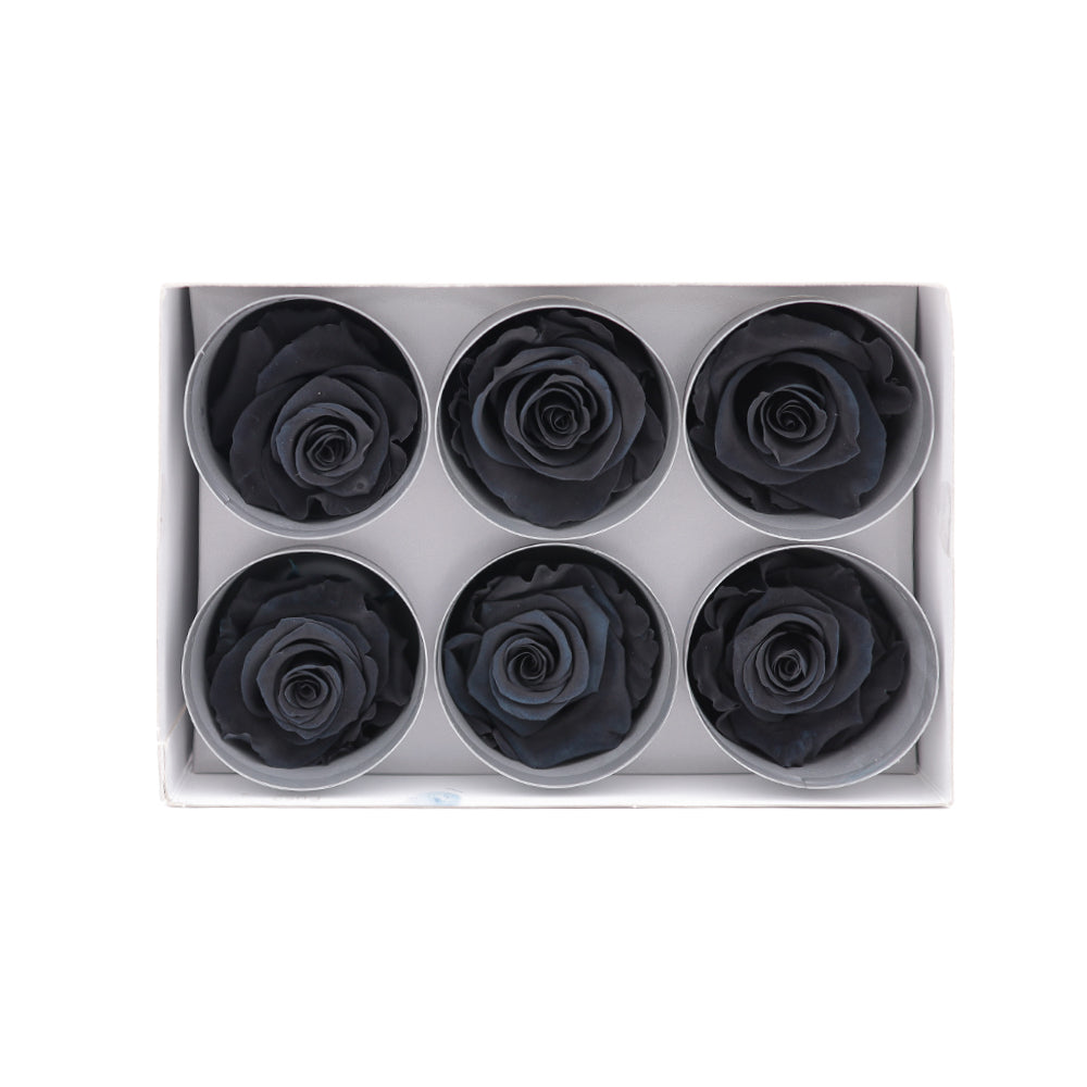 Preserved Roses wholesale Black 6 Roses That Last a Year