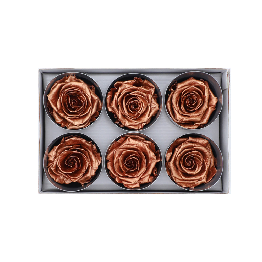 Preserved Roses wholesale Copper 6 Roses That Last a Year