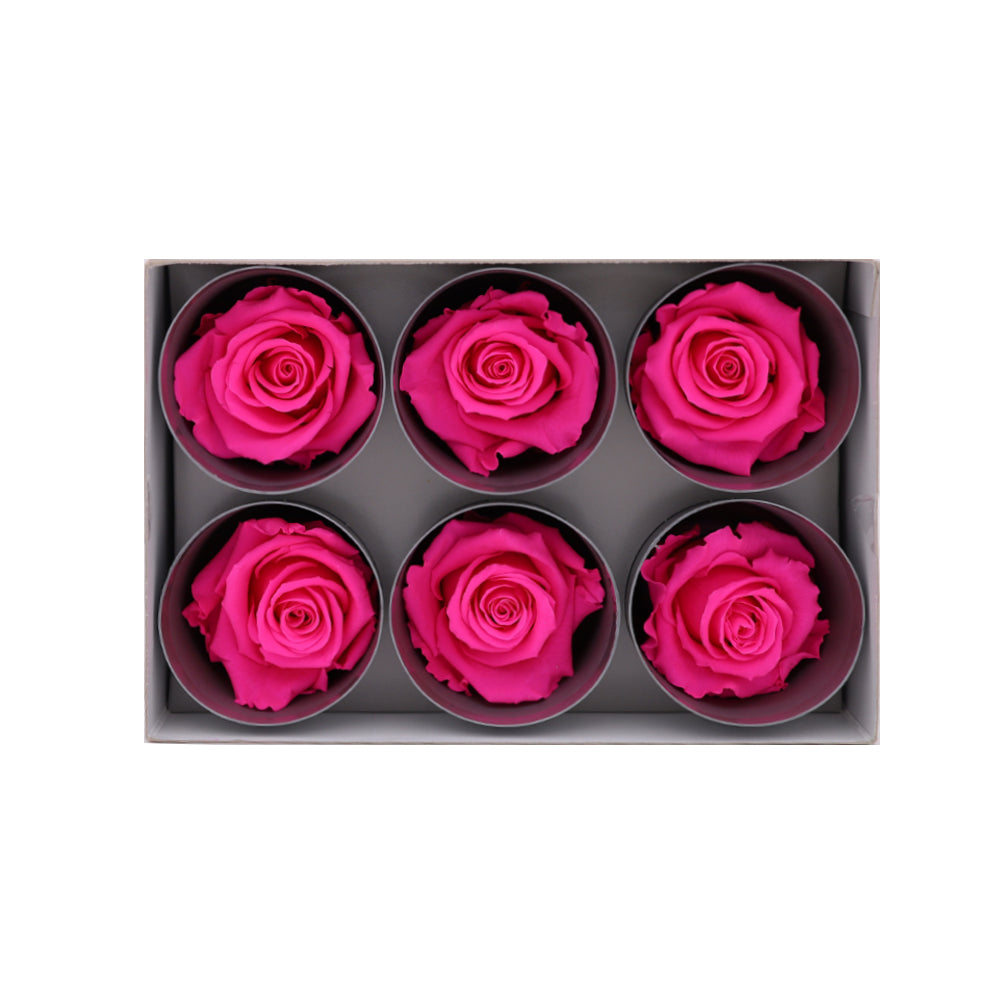 Preserved Roses wholesale Hot Pink 6 Roses That Last a Year