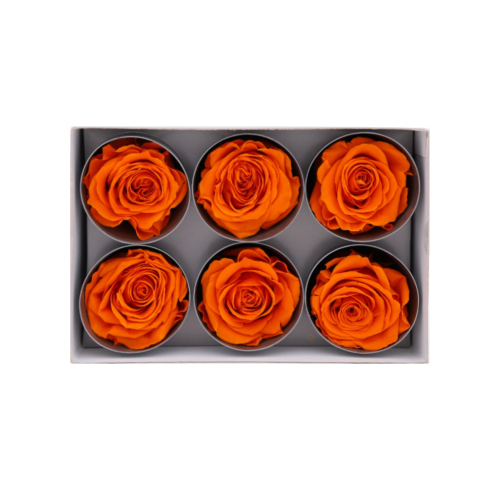 Preserved Roses wholesale Orange 6 Roses That Last a Year