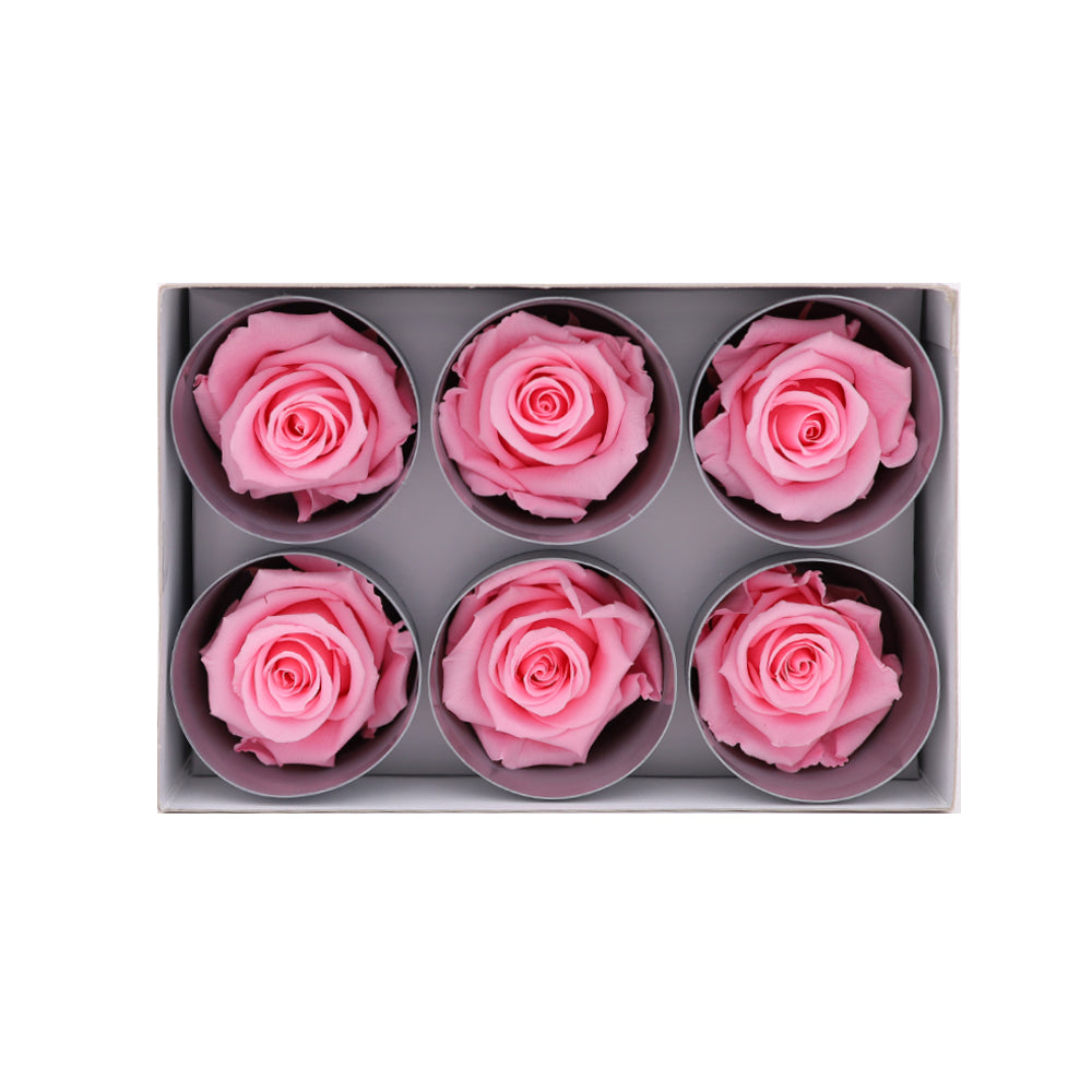 Preserved Roses wholesale Pastel Pink 6 Roses That Last a Year