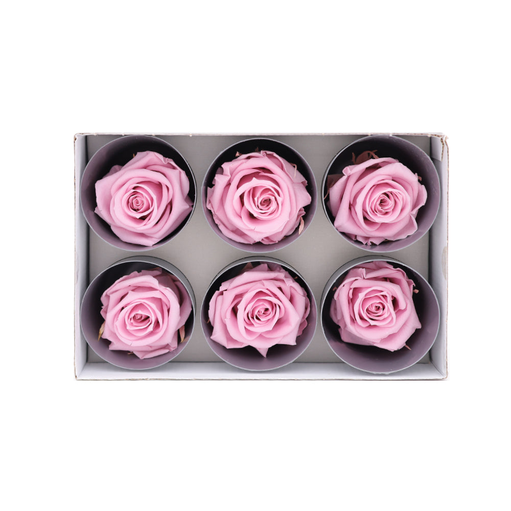 Preserved Roses wholesale Pink 6 Roses That Last a Year