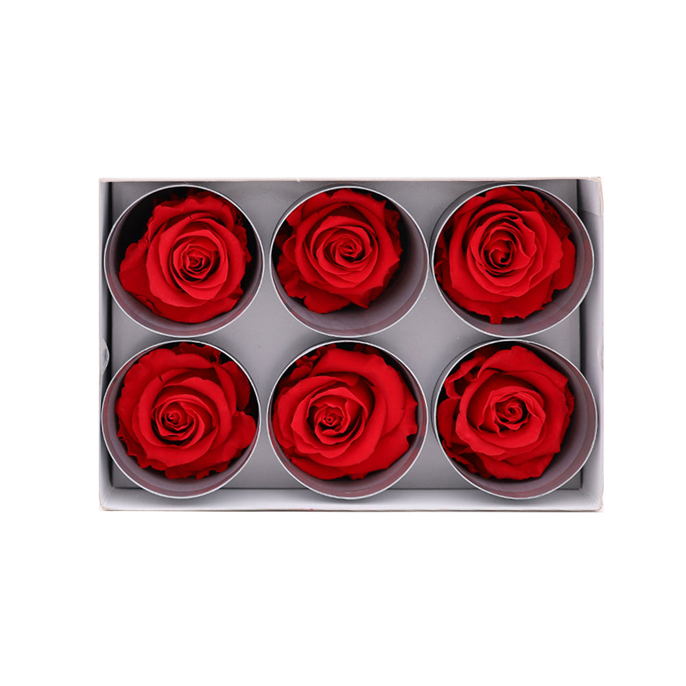 Preserved Roses wholesale Red 6 Roses That Last a Year