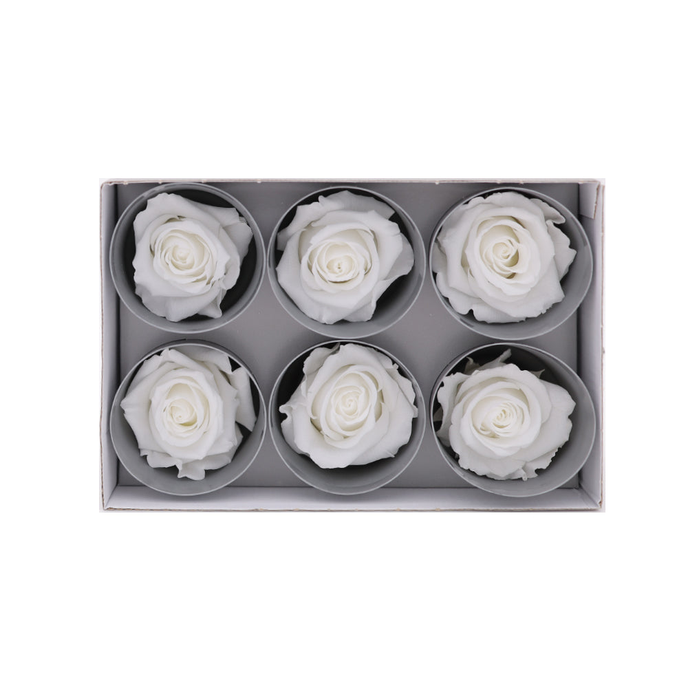 Preserved Roses wholesale White 6 Roses That Last a Year