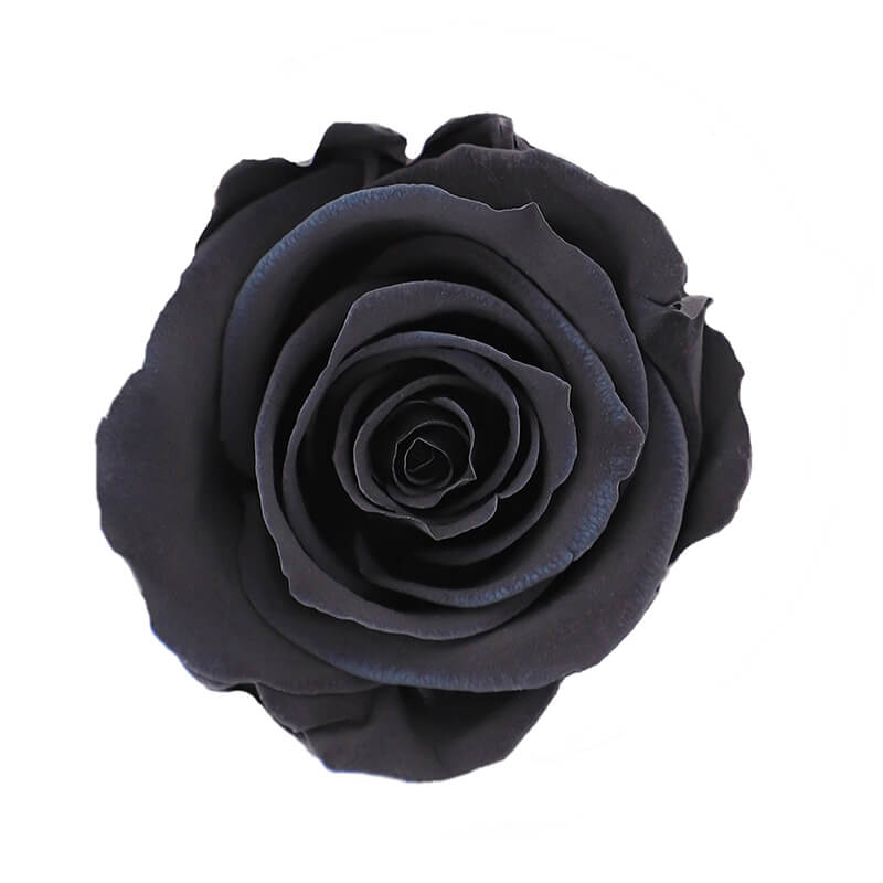 Wholesale Black Premium Preserved Roses
