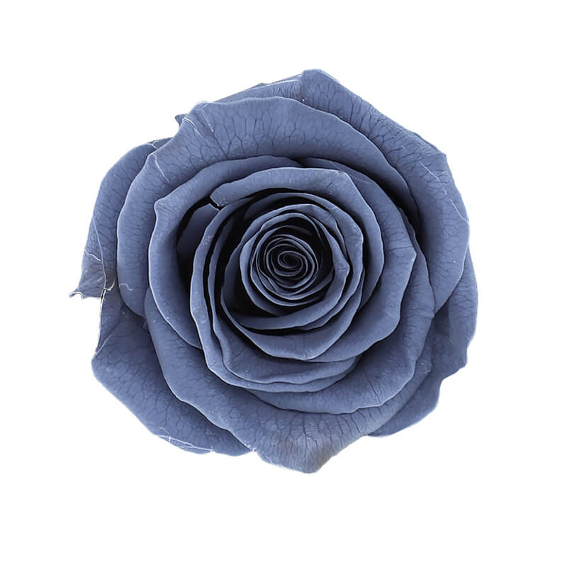 Wholesale Grey Premium Preserved Roses