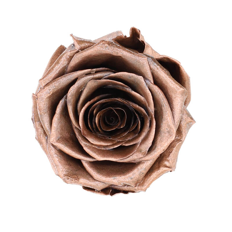 Copper Preserved Roses - Bellissimo Wholesale Preserved Roses