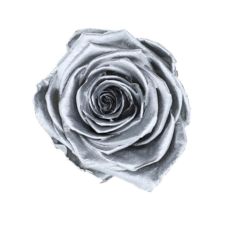 Silver Preserved Roses - Bellissimo Wholesale Preserved Roses 